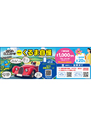自動車ローン くるま自慢210ｍｍ×74ｍｍ